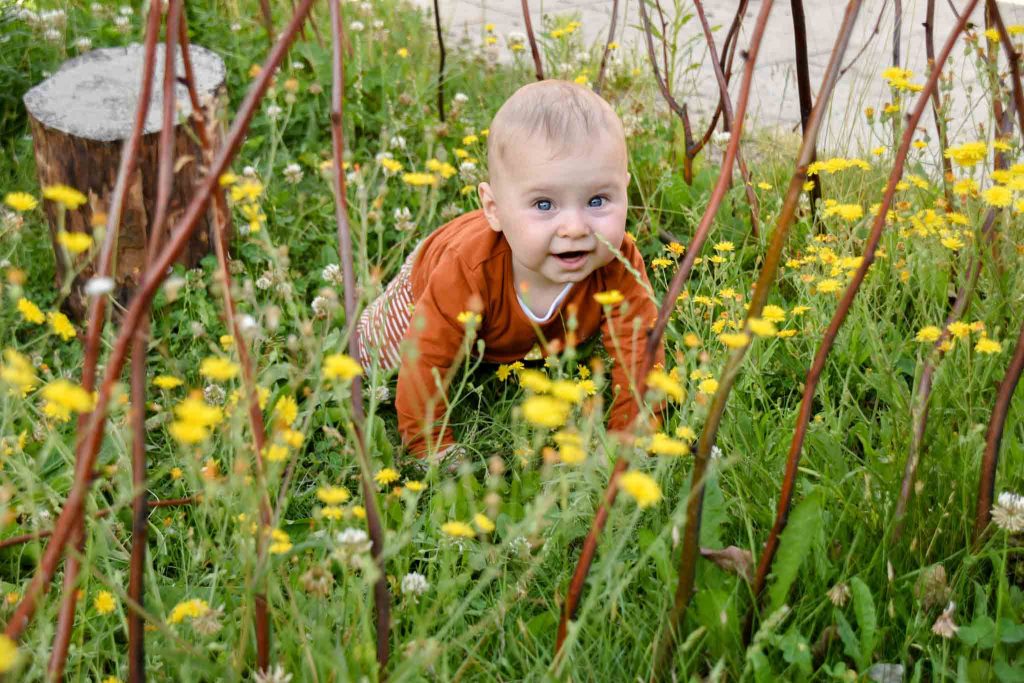 Kinderopvang in Mijnsheerenland (3)