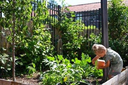 Kinderopvang in Puttershoek (5)