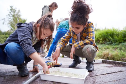 Two,Girls,On,Outdoor,Activity,Camp,Studying,Pond,Life,Found